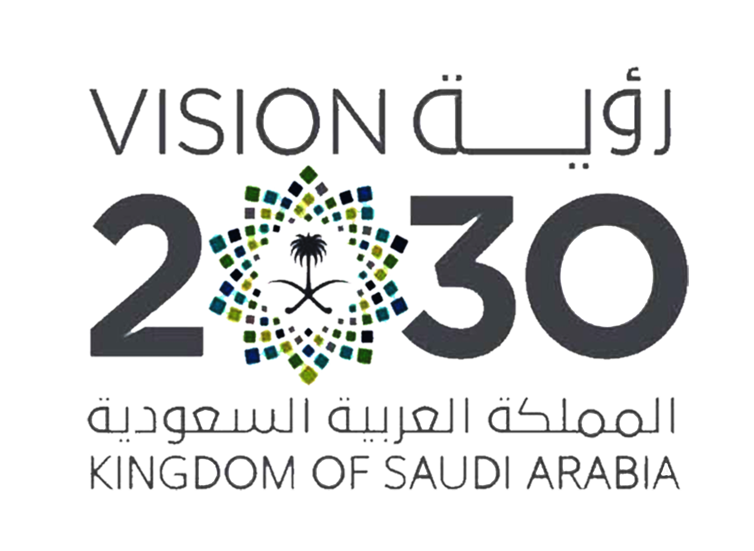Vision 2030 Logo